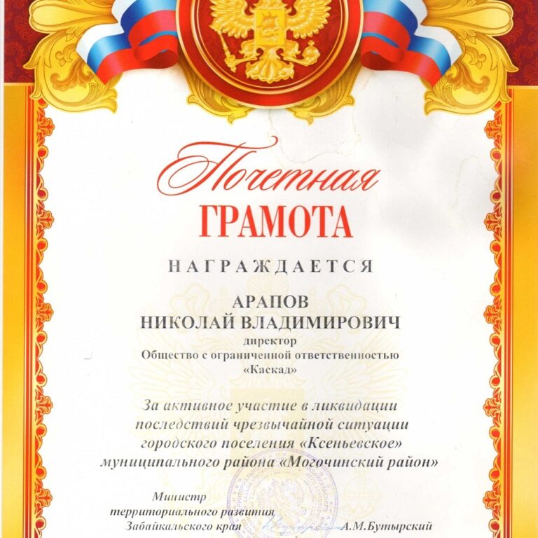 Почётная грамота за участие в ликвидации последсвий ЧС